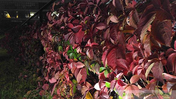 業(yè)界良心 LG V10 評測:剛毅、冷峻，不失人性化