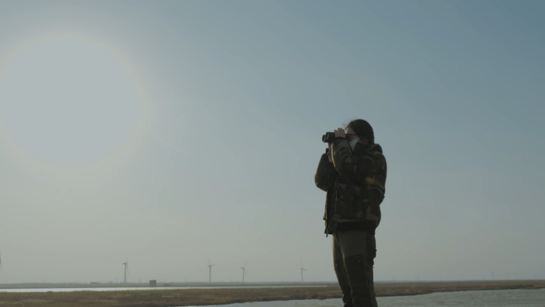 世界濕地日：?？低晹y手一個地球自然基金會，在上海守護(hù)這個重要“驛站”