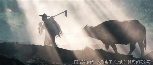 智慧農(nóng)業(yè)大有可為，“數(shù)字種地”更輕松